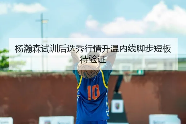 杨瀚森试训后选秀行情升温内线脚步短板待验证